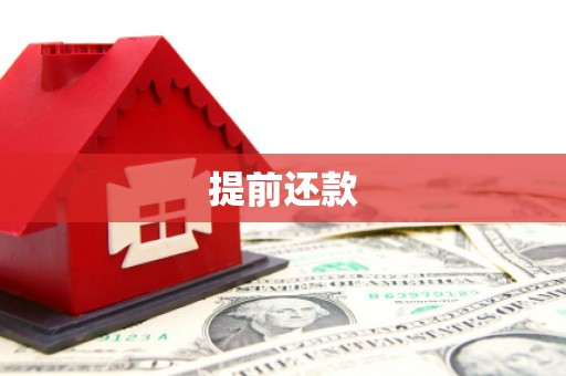 沈河提前还款