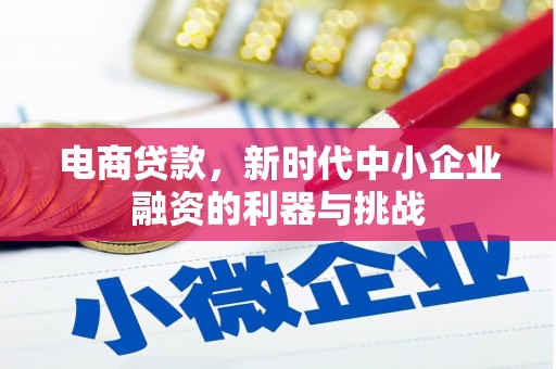 沈河电商贷款，新时代中小企业融资的利器与挑战