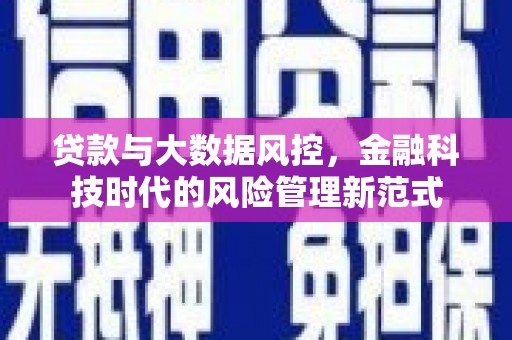 沈河贷款与大数据风控，金融科技时代的风险管理新范式