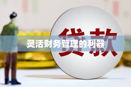 沈河灵活财务管理的利器