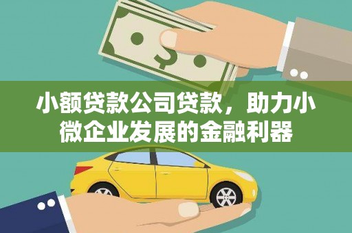沈河小额贷款公司贷款，助力小微企业发展的金融利器