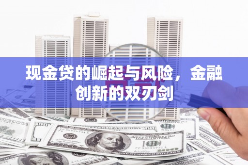 沈河现金贷的崛起与风险，金融创新的双刃剑