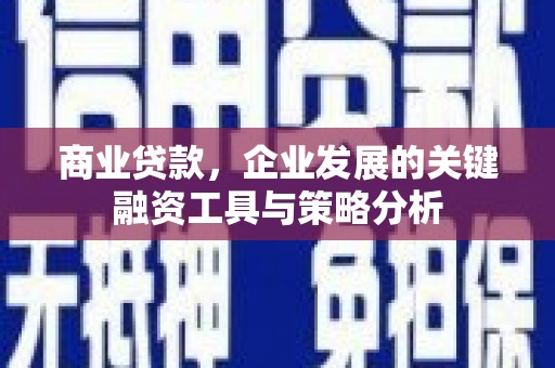 沈河商业贷款，企业发展的关键融资工具与策略分析