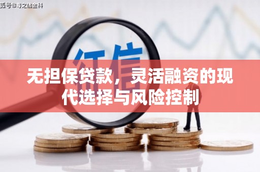 沈河无担保贷款，灵活融资的现代选择与风险控制