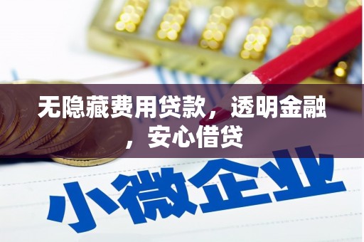 沈河无隐藏费用贷款，透明金融，安心借贷