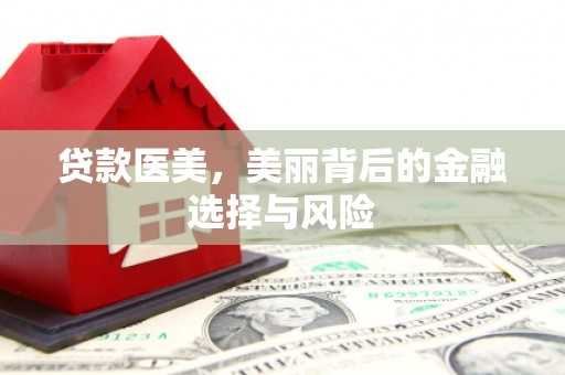 沈河贷款医美，美丽背后的金融选择与风险