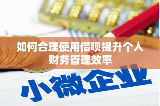 沈河如何合理使用借呗提升个人财务管理效率