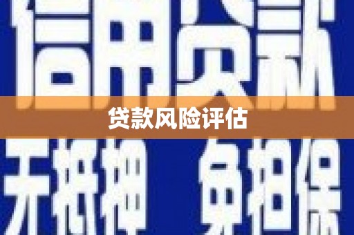 沈河贷款风险评估