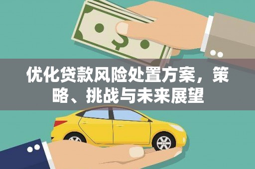 沈河优化贷款风险处置方案，策略、挑战与未来展望