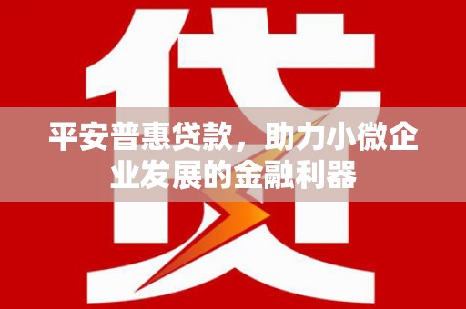 沈河平安普惠贷款，助力小微企业发展的金融利器