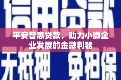 沈河平安普惠贷款，助力小微企业发展的金融利器