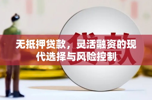 沈河无抵押贷款，灵活融资的现代选择与风险控制
