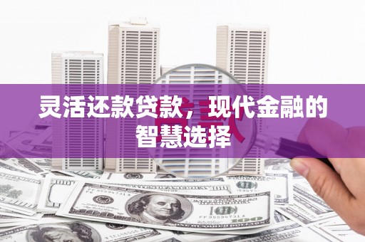 沈河灵活还款贷款，现代金融的智慧选择