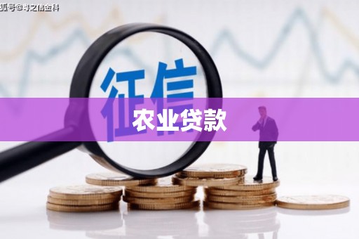 沈河农业贷款