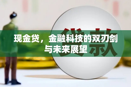 沈河现金贷，金融科技的双刃剑与未来展望