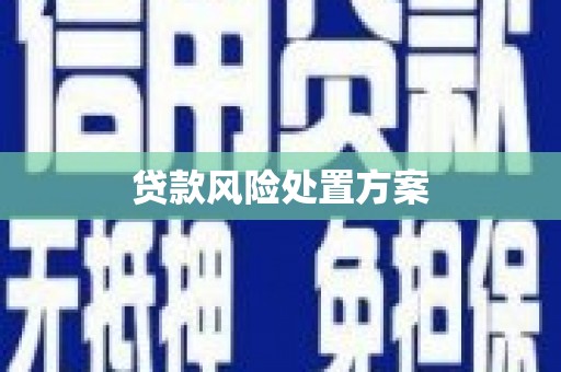 沈河贷款风险处置方案