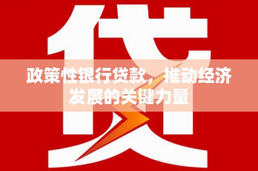沈河政策性银行贷款，推动经济发展的关键力量