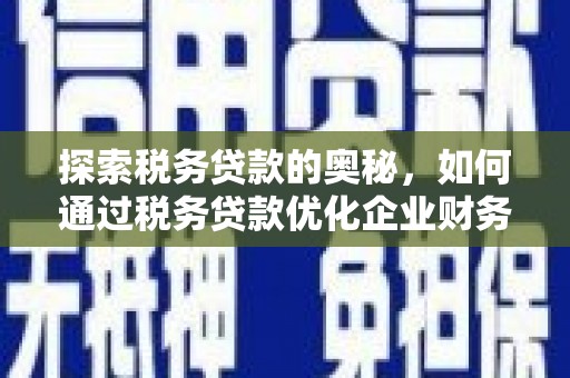 沈河探索税务贷款的奥秘，如何通过税务贷款优化企业财务