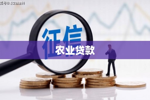 沈河农业贷款