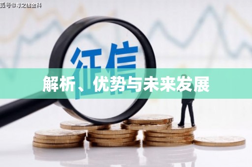 沈河解析、优势与未来发展