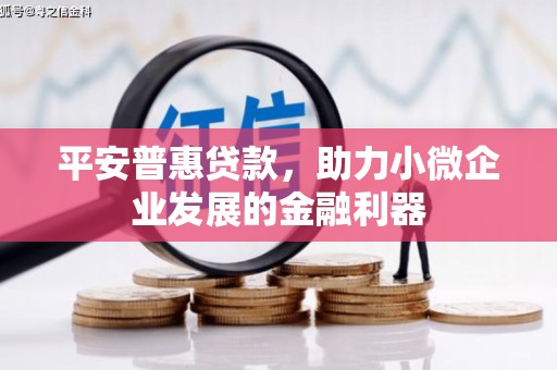 沈河平安普惠贷款，助力小微企业发展的金融利器