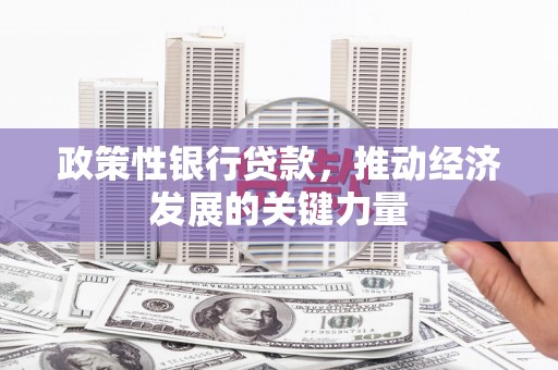 沈河政策性银行贷款，推动经济发展的关键力量