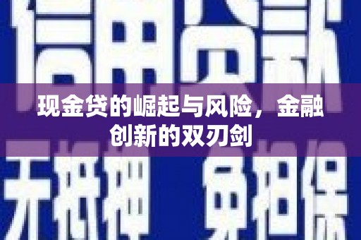 沈河现金贷的崛起与风险，金融创新的双刃剑