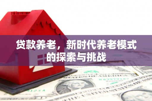 沈河贷款养老，新时代养老模式的探索与挑战