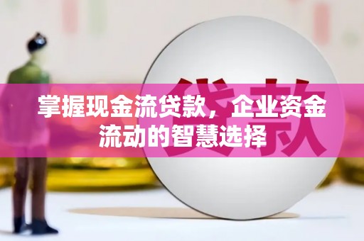 沈河掌握现金流贷款，企业资金流动的智慧选择