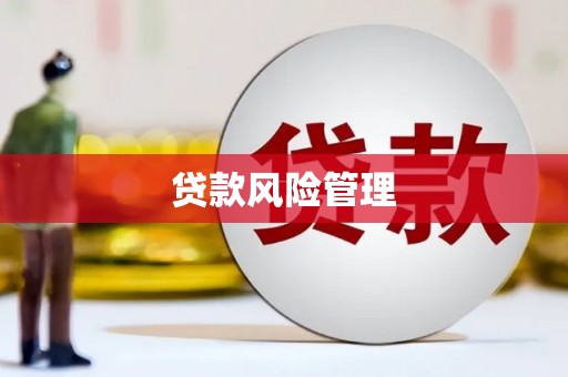 沈河贷款风险管理