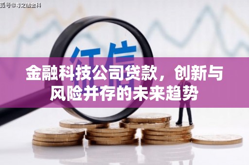 沈河金融科技公司贷款，创新与风险并存的未来趋势