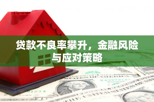 沈河贷款不良率攀升，金融风险与应对策略