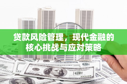 沈河贷款风险管理，现代金融的核心挑战与应对策略