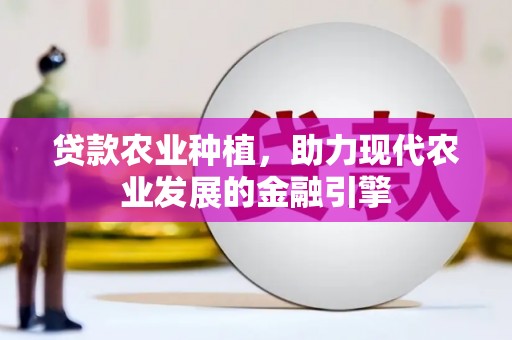沈河贷款农业种植，助力现代农业发展的金融引擎
