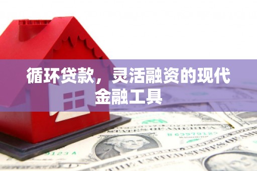 沈河循环贷款，灵活融资的现代金融工具