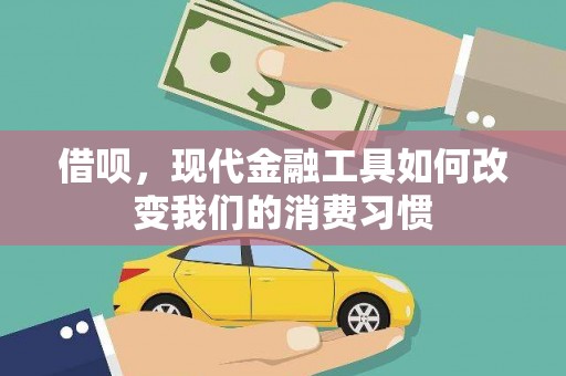 沈河借呗，现代金融工具如何改变我们的消费习惯