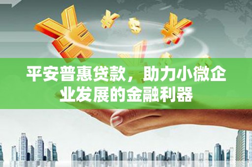 沈河平安普惠贷款，助力小微企业发展的金融利器