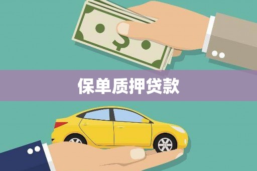 沈河保单质押贷款