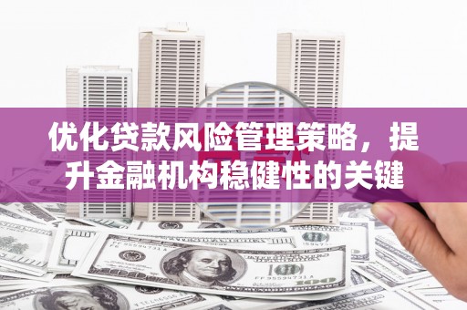 沈河优化贷款风险管理策略，提升金融机构稳健性的关键