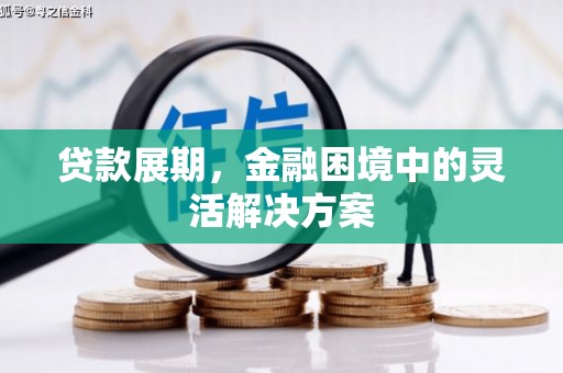 沈河贷款展期，金融困境中的灵活解决方案