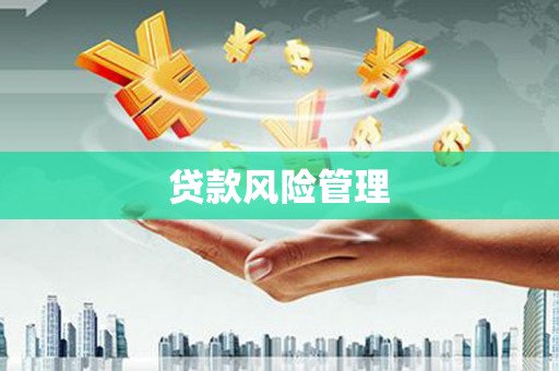 沈河贷款风险管理