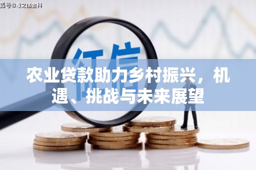 沈河农业贷款助力乡村振兴，机遇、挑战与未来展望