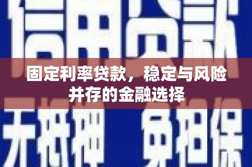 沈河固定利率贷款，稳定与风险并存的金融选择