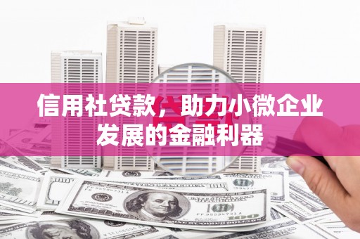 沈河信用社贷款，助力小微企业发展的金融利器
