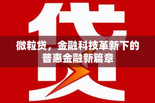 沈河微粒贷，金融科技革新下的普惠金融新篇章