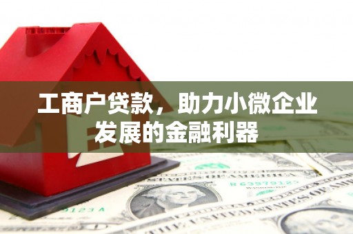 沈河工商户贷款，助力小微企业发展的金融利器