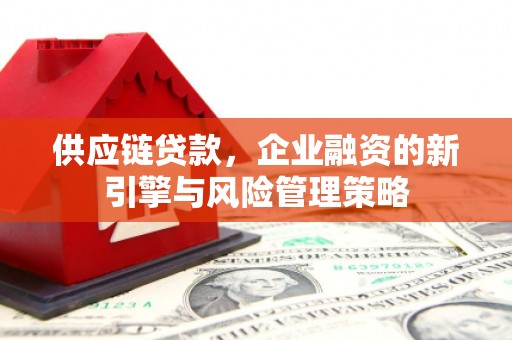 沈河供应链贷款，企业融资的新引擎与风险管理策略
