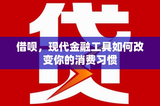 沈河借呗，现代金融工具如何改变你的消费习惯