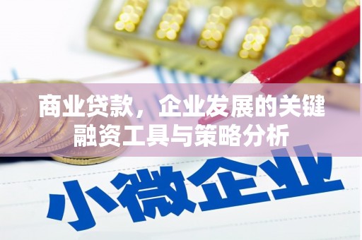 沈河商业贷款，企业发展的关键融资工具与策略分析