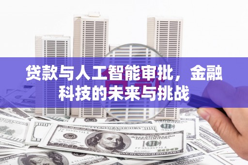 沈河贷款与人工智能审批，金融科技的未来与挑战